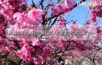 沖縄のイベント｢今帰仁グスク桜まつり｣のレビュー