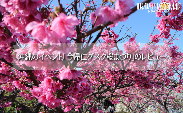 沖縄のイベント｢今帰仁グスク桜まつり｣のレビュー
