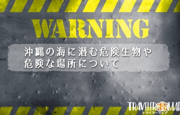 沖縄の海に潜む危険生物や危険な場所について