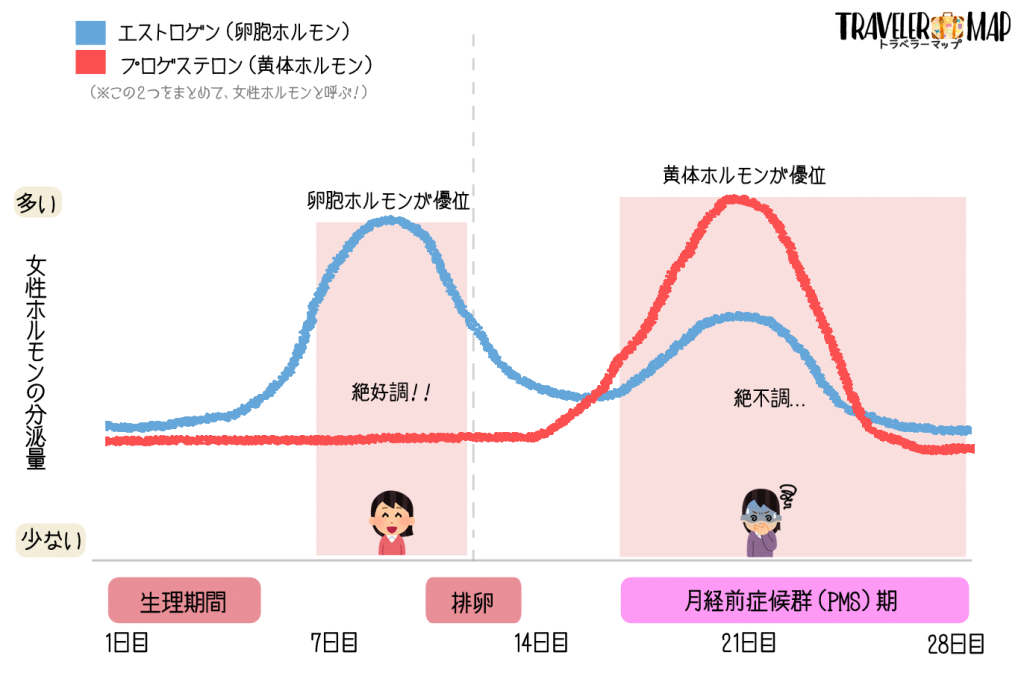 女性ホルモンの変化図