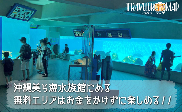 美ら海水族館にある無料エリアはお金をかけずに楽しめる