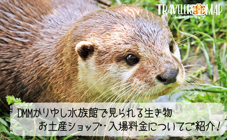 かりゆし水族館の館内マップ