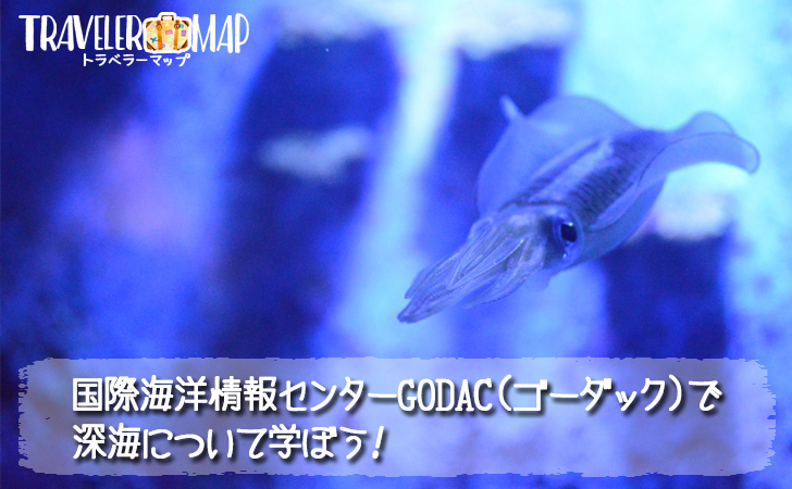 国際海洋情報センターGODACについて