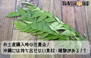 沖縄県から持ち出せない検疫で引っかかる植物