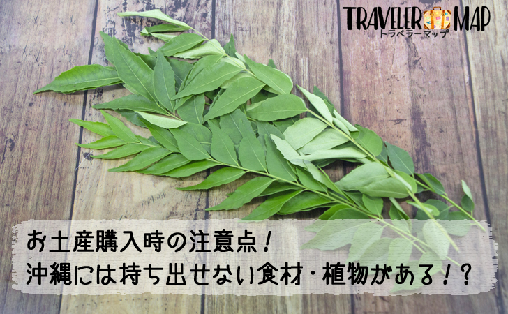 沖縄県から持ち出せない検疫で引っかかる植物