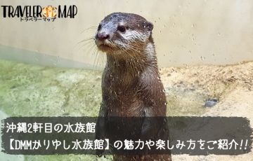 DMMかりゆし水族館の魅力と楽しみ方