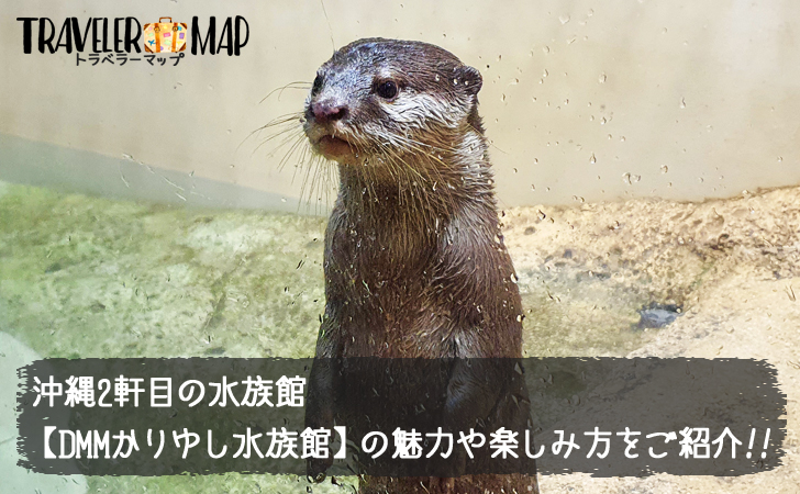 DMMかりゆし水族館の魅力と楽しみ方