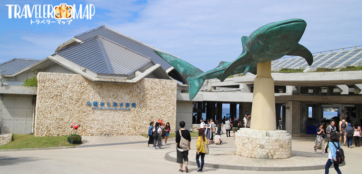 美ら海水族館